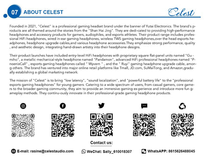 Celest Wyvern Black In Ear Earphone Monitor With Microphone Hifi Music Headphone IEMs Wired Gaming Earbuds For Gifts