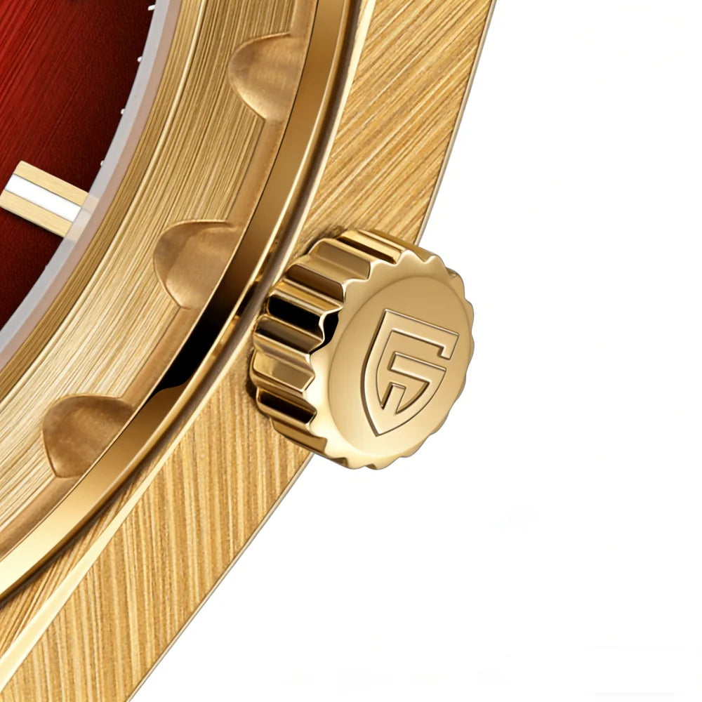 Orologio da uomo di lusso PAGANI DESIGN – Edizione limitata, vetro zaffiro, quadrante rosso, acciaio inossidabile, impermeabile – PDYS020