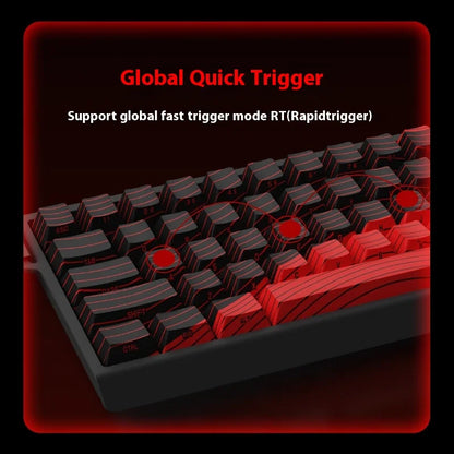 FGG MADLIONS MAD 60/68HE Magnetic Switch Keyboard MADCATZ MAD60 Wired Gaming Keyboard Rapid Trigger Custom Keyboard Office Gift