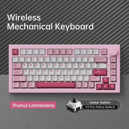 Akko 5075 V3 Keyboard 75% ANSI-US With Volume Hot-swappable RGB USB Type-C/2.4g&BT5.0 Tri-mode Custom Gaming Mechanical Keyboard