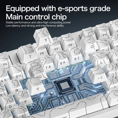 ATTACK SHARK R82HE Gaming Keyboard Magnetic 75% Wired 8000Hz Rapid Trigger ProGamer Keyboard,0.005mm RT Accuracy,0.08ms Latency