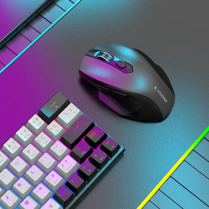 E-YOOSO 2.4G Wireless Ergonomic Mouse with Built-in USB Receiver, 5-Level 4800 DPI Portable Optical Mouse for PC Laptop Computer