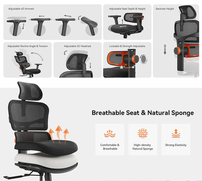 NEWTRAL NT001 Ergonomic Office Chair with Auto-Following Lumbar Support, 3 Recline Angle, Adjustable Backrest Armrest Headrest