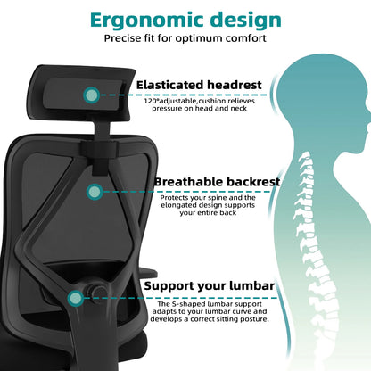Daccormax Ergonomic Office Chair, Mesh Desk Chair Adjustable Lumbar Support, Swivel Tilt Wheels for Home Office Gaming