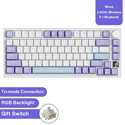 AK820 Wired Full-Key Hot-Swap Keyboard Removable USB Port White/Ice Blue Backlight Premium Sense Colorway